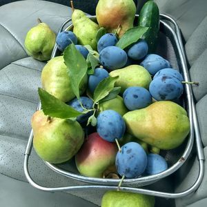 Meet your Posher, Irmagene